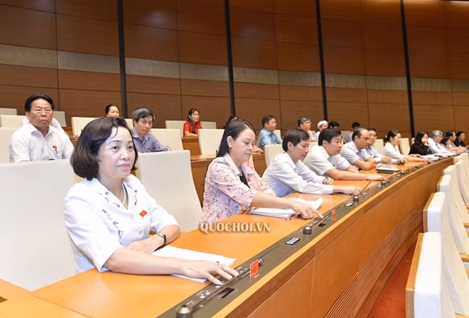 ĐBQH biểu quyết tại hội trường.