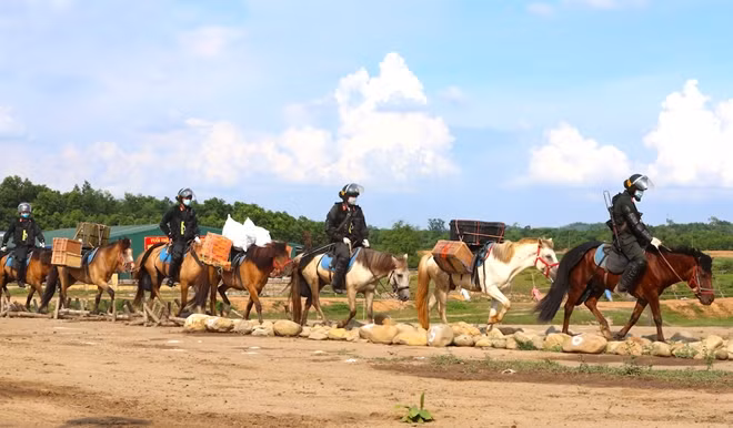 Ngựa có hiệu quả cao trong vận chuyển vũ khí, quân trang, quân lương phục vụ triển khai phương án tác chiến, hành quân dã ngoại trong thời gian dài và cứu nạn, cứu hộ tại khu vực vùng sâu, vùng xa, điều kiện phức tạp.