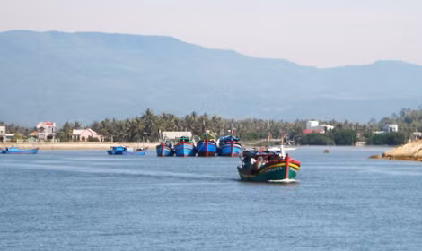 Tàu thuyền của ngư dân Bình Định đang di chuyển tránh, trú áp thấp nhiệt đới trên biển Đông.