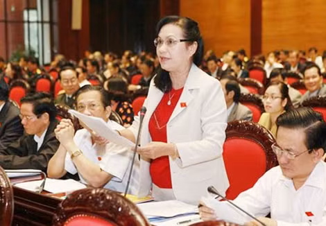 ...là nội dung quan trọng trong hoạt động của đại biểu Quốc hội.