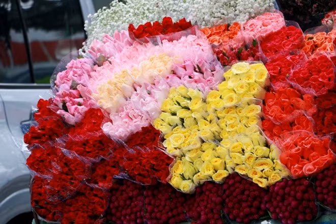 Thậm chí có một số nơi giá hoa hồng lên tới 20.000 đồng/bông.