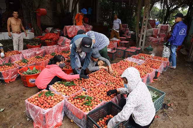 Một kho hàng đang đóng gói các thùng vải chuẩn bị đưa lên xe mamg đi xuất khẩu.