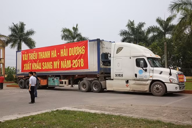 Theo những chuyến hàng như thế trái vải Việt Nam sẽ đến được với bạn bè quốc tế. Theo những chuyến hàng như thế trái vải Việt Nam sẽ đến được với bạn bè quốc tế.