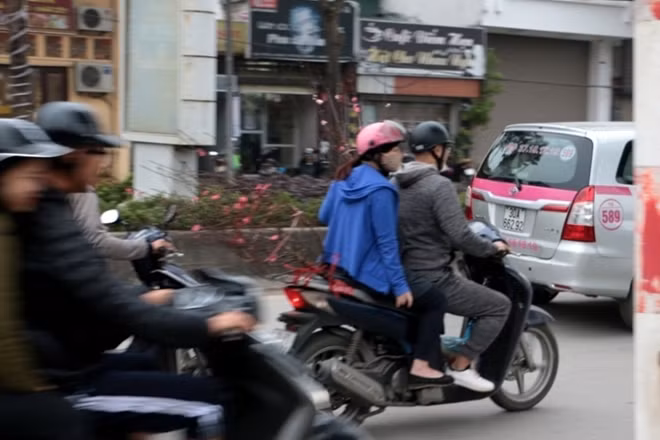 Do năm nay là năm nhuận nên rất nhiều cây đào cho hoa trước Tết âm lịch, các chủ vườn thường cắt và mang bán lẻ. Một cành đào theo chân người về phố.