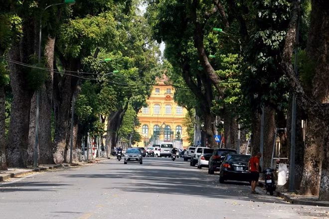 Hai hàng cây cổ thụ ven đường tại phố Hoàng Văn Thụ tỏa bóng mát giữa cái nắng như thiêu như đốt của Hà Nội mấy ngày qua.