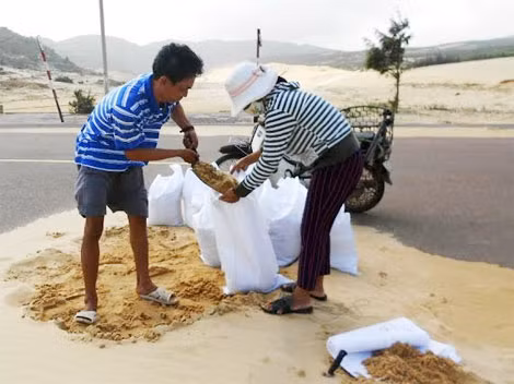 Người dân xã đảo Nhơn Lý xúc cát vào bao tải để chằng chống nhà cửa. Người dân xã đảo Nhơn Lý xúc cát vào bao tải để chằng chống nhà cửa.