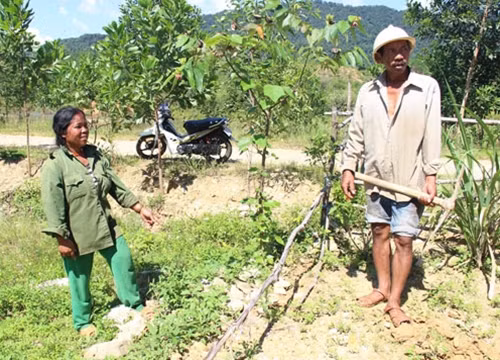Người dân TĐC dự án thủy điện ở Thừa Thiên - Huế thiếu đất sản xuất, trong khi chủ đầu tư chây ỳ trồng rừng thay thế.