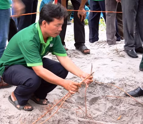 Cơ quan chức năng đã vạch trần thủ đoạn bịp bợm tìm kiếm, cất bốc hài cốt liệt sĩ của vợ chồng Thúy, Duyên và đồng bọn tại Quảng Trị.