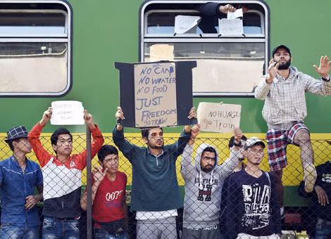 Người tị nạn biểu tình đòi tự do ở một nhà ga của Hungary, hay vượt qua các hàng rào thép gai để đi tìm “miền đất hứa”.