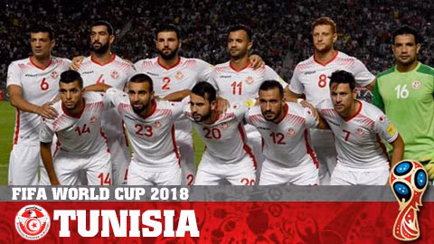 Đội tuyển Tunisia sẽ có một trận đấu khó khăn với những chú sư tử "non".