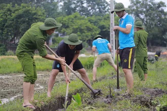 Dọn dẹp cảnh quan môi trường.