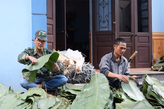 Hai người thợ đang tước “sống lưng” lá để khi gói bánh lá không bị gẫy.