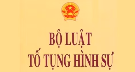Công bố Lệnh của Chủ tịch nước đối với 2 Luật ảnh 3