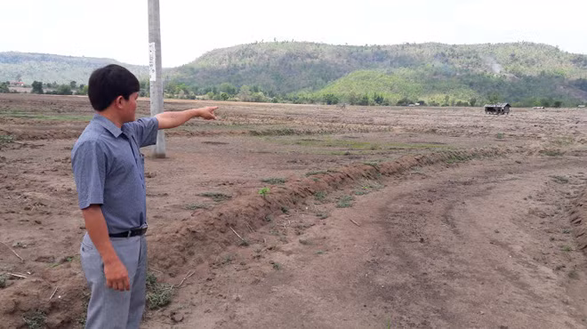Phó Chủ tịch UBND xã Ayun chỉ cánh đồng Chư Tốc thiếu nước.