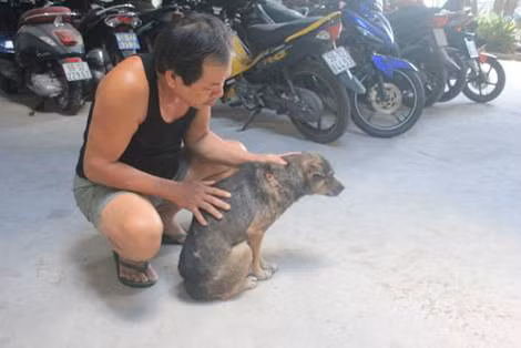Ông H. bên chú chó bị “cẩu tặc” chích điện.