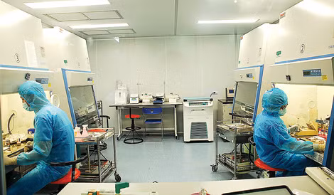 Các kỹ thuật viên thực hiện việc tách tế bào gốc từ máu dây rốn trong phòng sạch.