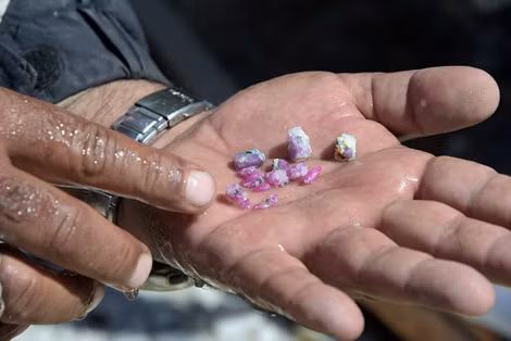 Đá ruby được tìm thấy trong khu mỏ ở Kashmir, Pakistan.