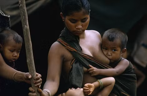 Bức ảnh bà mẹ Việt Nam cho con bú là nguồn cảm hứng của bài hát “Lady Madonna”.