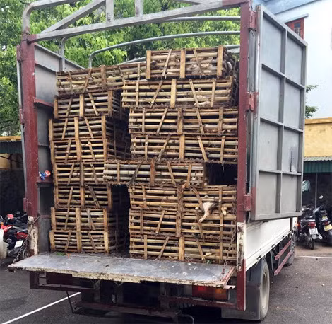 Chiếc xe chở 950kg mèo.