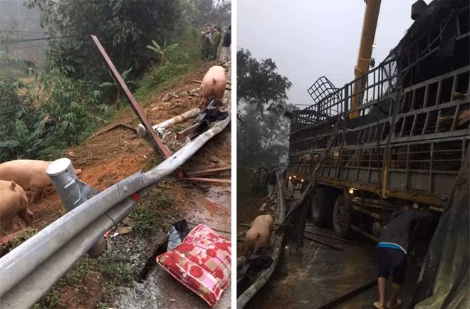 Hình ảnh xe ô tô chở lợn bị lật trên đường ở khu vực xã Trùng Quán (ảnh Facebook) Hình ảnh xe ô tô chở lợn bị lật trên đường ở khu vực xã Trùng Quán (ảnh Facebook)