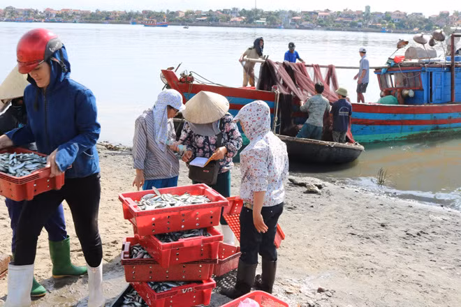 Bà con ngư dân Quảng Bình vui mừng khi biển sạch sóng êm để khai thác thủy hải sản.