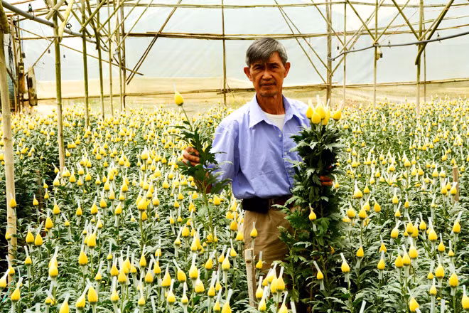Người dân ấp Hà Đông vẫn giữ nghề trồng hoa truyền thống.
