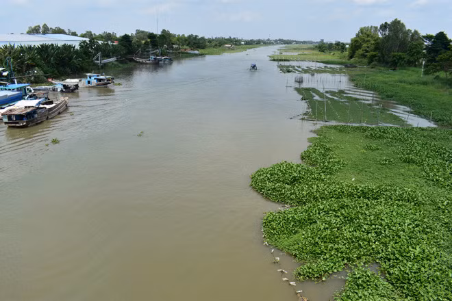 Lưu lượng nước từ thượng nguồn sông Mekong về vùng hạ lưu đạt thấp.