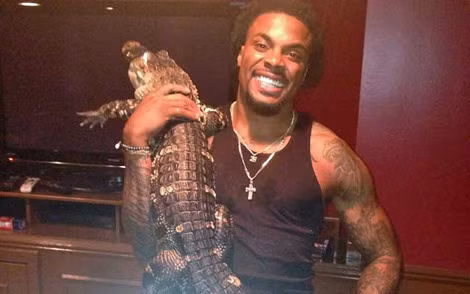 Louis Delmas nuôi cá sấu suốt một thời gian dài.