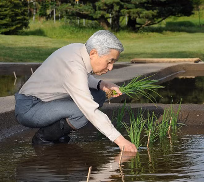 Nhật Hoàng Akihito rất quan tâm đến cuộc sống muôn loài trong thiên nhiên và công tác bảo tồn. ảnh: “Their Majesties the Emperor and Emperess of Japan”.