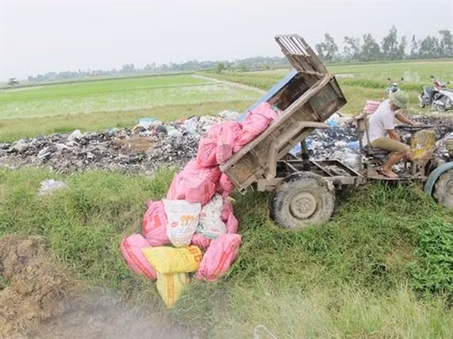 Tiêu hủy số gia cầm nhiễm cúm A/H5N1. Tiêu hủy số gia cầm nhiễm cúm A/H5N1.