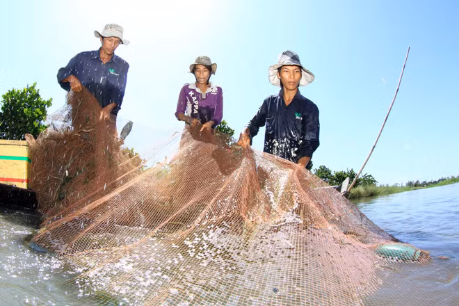 Đời sống của 20 triệu dân đồng bằng sông Cửu Long sẽ bị ảnh hưởng nghiêm trọng nếu Pak Beng được xây dựng.