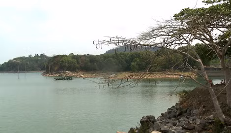 Cách nay hơn 30 năm, nơi đây là cánh rừng lãnh địa của Sáu Thẹo
