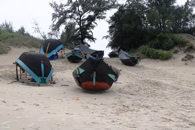 Những tàu thuyền đánh cá đã được kéo lên thật xa bờ biển.