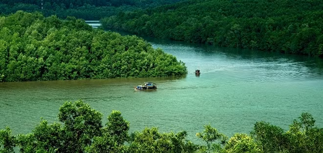 Dự trữ sinh quyển thế giới - rừng ngập mặn Cần Giờ