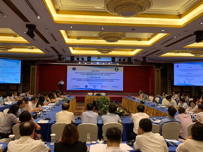 Các đại biểu tham dự Hội nghị