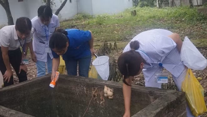 Diệt loăng quăng, phòng chống sốt xuất huyết ở Hà Nội