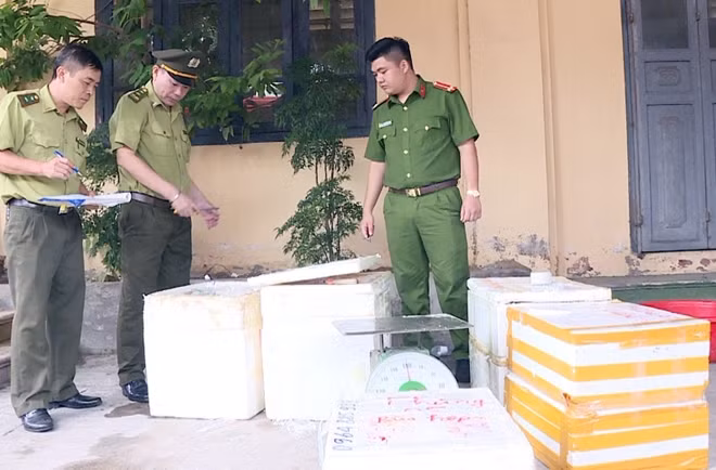 Lực lượng chức năng kiểm đếm động vật hoang dã trong sách đỏ