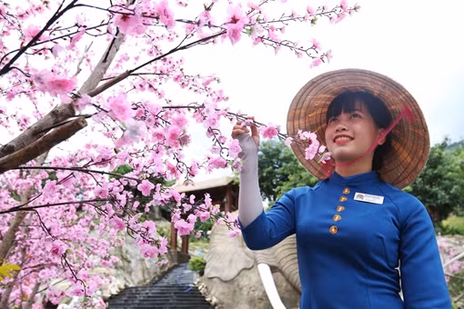  Lễ hội giao lưu văn hóa Việt – Hàn tại Đà Nẵng