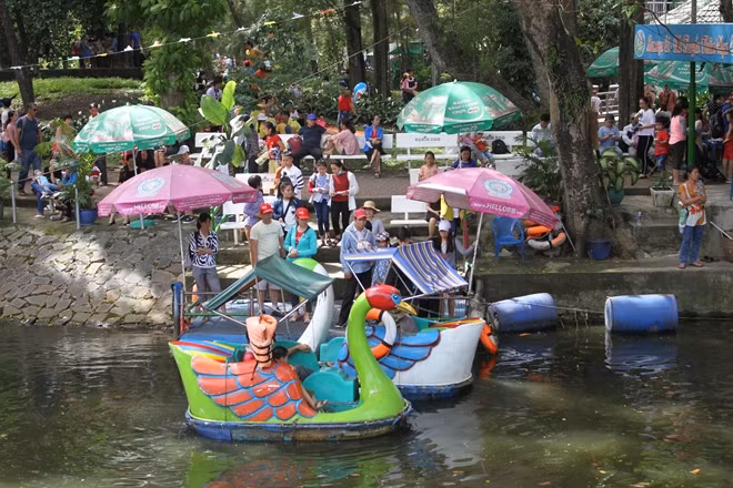 Phụ huynh cho con đạp vịt dưới nước