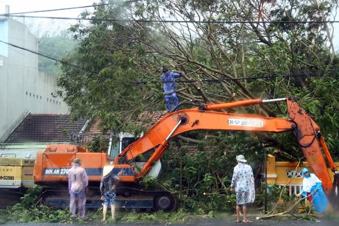 Công ty môi trường đô thị TP Nha Trang, TP Tuy Hòa, thị xã Ninh Hòa mới triển khai nhân lực cắt dọn cây xanh đổ ngã.
