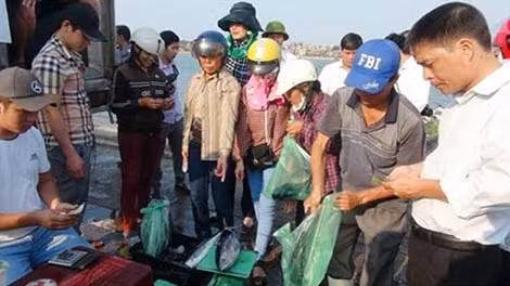 Người dân Quảng Bình mua cá biển ở chợ Đồng Hới.