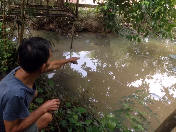 Hiện trường nơi Trọng ném con ruột xuống ao nước.