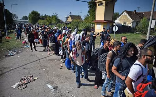 Dòng người tị nạn xếp hàng chờ để được qua biên giới Serbia vào Hungary rồi đi tới các quốc gia Tây Âu giàu có. Ảnh: Getty Imagine.