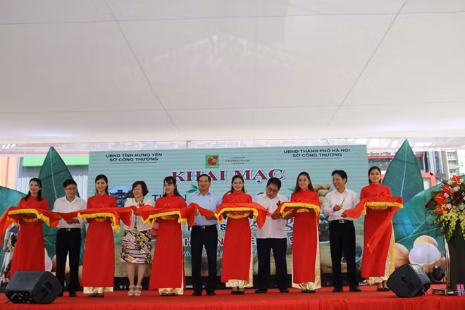 Cắt băng khai mạc Tuần lễ Nhãn lồng Hưng Yên 2019