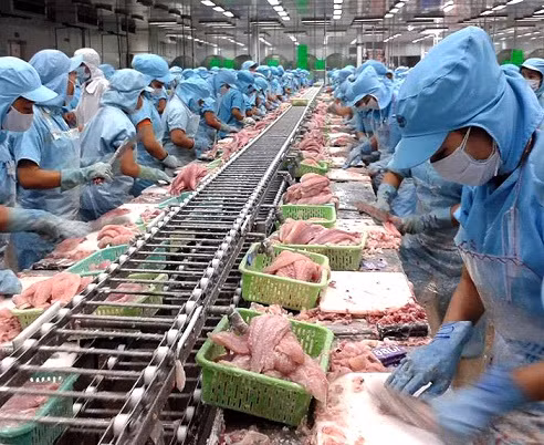 Ngành thủy sản đạt mức tăng trưởng cao nhất 9 năm qua, sản lượng thủy sản nuôi trồng và khai thác tăng khá Ngành thủy sản đạt mức tăng trưởng cao nhất 9 năm qua, sản lượng thủy sản nuôi trồng và khai thác tăng khá