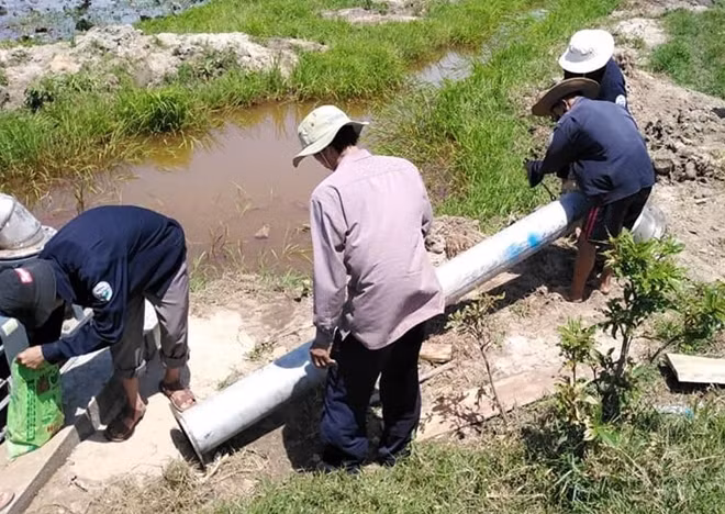 Nông dân lắp đường ống dẫn nước cứu đồng lúa giữa mùa nắng hạn.