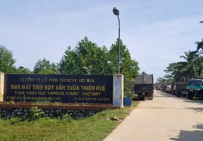 Nhà máy tinh bột sắn Fococev Thừa Thiên Huế bị Tổng cục Môi trường xử phạt 474 triệu đồng.