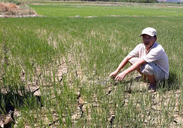Nông dân lo lắng vì ruộng đồng nứt nẻ, thiếu nước tưới trong vụ Hè Thu năm 2019.