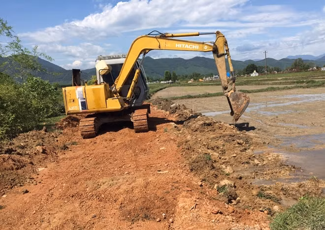 Nhiều diện tích đất ruộng vừa gieo sạ của gia đình ông Trà bị doanh nghiệp san ủi làm đường.