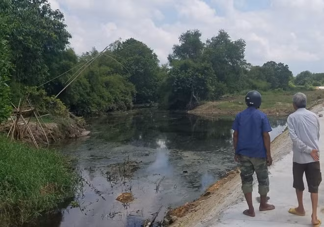 Nhiều bàu, hói ở xã Phong Hiền bị ô nhiễm do ảnh hưởng nước thải nhà máy tinh bột sắn Fococev Thừa Thiên Huế.